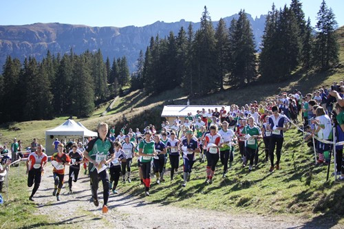 2018 ArgeAlp